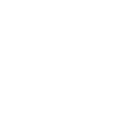 ASESORAMIENTO ESPECIALIZADO. Nuestro equipo de expertos proporciona asesoramiento personalizado, adaptado a las necesidades específicas de cada empresa.